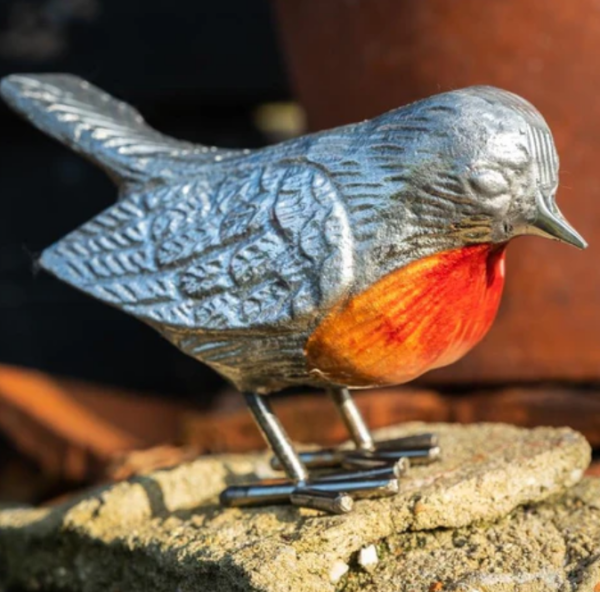 Red breast robin